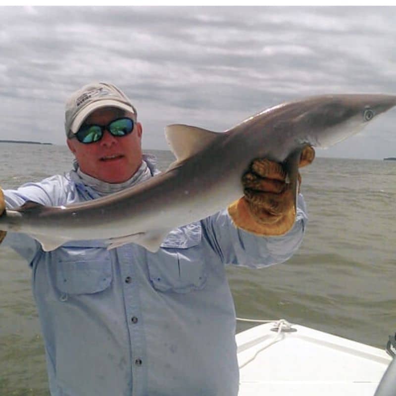Angler holding shark on Cast Away fishing and boating charter