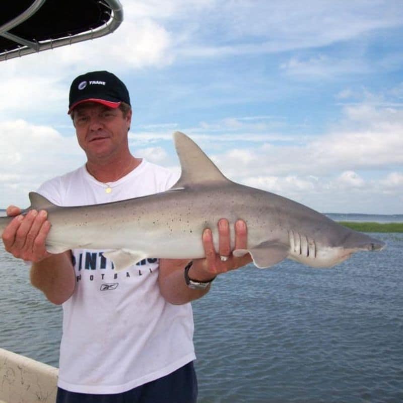 Man holding shark on Beaufort SC fishing charter