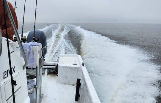 A boat with dishing rods sailing down the river