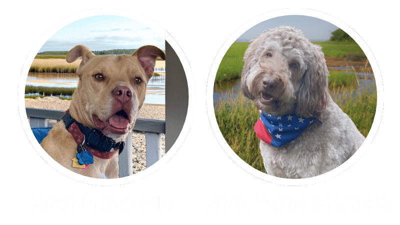 Circular photos of two dogs